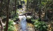 Randonnée Marche Levie - levie  a Serra di Scopemene et Santa Luccia di Tallamo - Photo 3