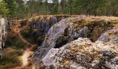 Trail Walking Viroinval - Promenade vers le Fondry des chiens  - Photo 6