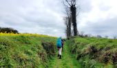 Tocht Te voet Le Vieux-Marché - Moulin de Keranné- Belle Ile en terre - Photo 5