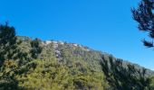 Trail Walking Toulon - faron sud 4 - Photo 6