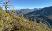 Trail Walking Castellane - Thyrs : sommet du Robion - Photo 16