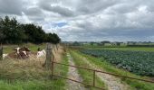 Tocht Stappen Zonnebeke - Zonnebeke 21,5 km - Photo 11