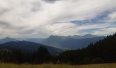 Trail Walking Samoëns - plateau des saix . la corne . les biollaires . pointe de cupoire .  plateau des saix - Photo 10