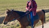 Trail Horseback riding Neuviller-lès-Badonviller - Belliana kiki  - Photo 3