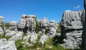 Trail Walking Courmes - puy tourettes - Photo 2