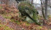 Tocht Noords wandelen Fontainebleau - Départ ma faisanderie  - Photo 2