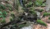 Randonnée Marche Chauchailles - les Gorges du Bes - Photo 3