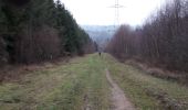 Trail Walking La Roche-en-Ardenne - Warempage 101220 - Photo 3