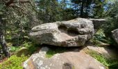 Tour Wandern Altweier - Roche du Tétras - Bilstein - Photo 16