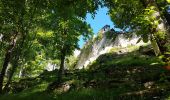 Trail Walking Dambach-la-Ville - Dambach - châteaux du Bernstein, de l'Ortenbourg et du Ramstein - Photo 8