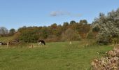 Tocht Stappen Baelen - 20211101 - TOTEMUS Membach 7.5 Km - Photo 17