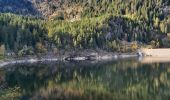 Trail Walking Orbey - Tour du Lac Blanc par le tour du Lac Noir - Photo 1