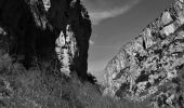 Trail Walking La Palud-sur-Verdon - Chalet de la Maline - Point Sublime - Photo 6