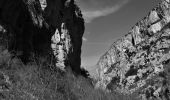 Percorso Marcia La Palud-sur-Verdon - Chalet de la Maline - Point Sublime - Photo 6