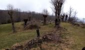 Tour Wandern Presles - Belvédère du ranc ( par la siva) - Photo 2