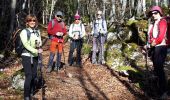 Tour Wandern Miribel-Lanchâtre - Les crêtes de la Ferrière en circuit - Photo 13