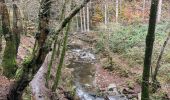 Trail Walking Aywaille - Ninglinspii - Photo 2