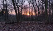 Tour Wandern Verrières-le-Buisson - La foret de Verrieres par Chatenay Malabry - Photo 2