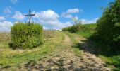 Tour Wandern Dormans - Dormans - Mont st Père du 23-04-2024 - Photo 2