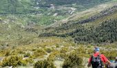 Trail Walking Castellane - Chasteuil - Cadières de Brandis - Photo 13