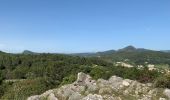 Trail Walking Clermont-l'Hérault - Oppidum de Clermont l’Hérault  - Photo 3