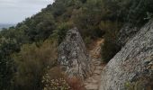 Tour Wandern Laroque-des-Albères - Dolmen - Photo 2