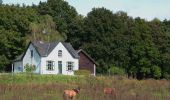 Tour Zu Fuß Rheden - Heuven Beekhuizen Veluwezoom - Photo 8