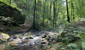 Trail Walking Echternach - Echternach-Beaufort - Photo 4