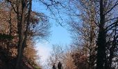 Tocht Noords wandelen Châtel-Guyon - Fonfréde - Photo 1