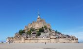 Tour Wandern Le Mont-Saint-Michel - Le Mont St Michel,  Herbus, Sables, et Barrage de La Caserne. - Photo 9