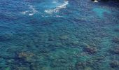 Tocht Stappen Saint-Paul - L'Ermitage - St Leu par le littoral. - Photo 6