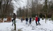 Tocht Stappen Sainte-Ode - Lavacherie  - Photo 4