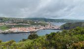 Tour Wandern Horta (Angústias) - Horta, Faial: Monte Queimado et Monte da Guia (PRC 08 FAI) - Photo 13