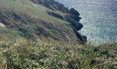 Tocht Stappen Cléden-Cap-Sizun - Pointe du Van - Photo 8