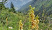 Trail Walking Pralognan-la-Vanoise - Le Petit Mont Blanc - Photo 2