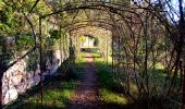Trail Walking Villecroze - Autour de Villecroze - Chapelles, Parcs et jardins - Photo 12