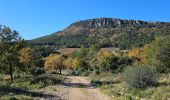 Trail Walking Cuers - Sous les barres de Cuers en partant de La Foux - Photo 13