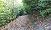 Excursión Senderismo Cauterets - CAUTERETS Le chemin des pères G3 le 14/10/2022  