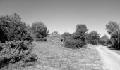 Trail Walking Laure-Minervois - LAURE MINERVOIS - Le sentier des Capitelles - Photo 12