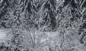 Randonnée Raquettes à neige Champagny-en-Vanoise - pralongnan - Photo 5