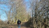 Tour Wandern Rendeux - Hodister  - Photo 18