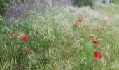 Tocht Stappen Bourg-de-Péage - bois des Naix  - Photo 9