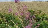 Trail Walking Herbeumont - Mon lit dans l'arbre - Castors - Photo 3