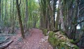 Excursión Senderismo Besançon - Forêt de Chailluz - Photo 1