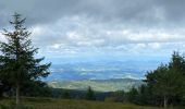 Tour Wandern Chalmazel-Jeansagnière - Col de la Loge - Col du Béal - Photo 6