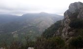 Tour Wandern Sumène - Ranc de Banes et les Jumeaux - Photo 10