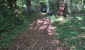 Trail Walking Valorbiquet - st  - Photo 3