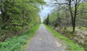 Trail Walking Theux - Hodbomont 29 km - Photo 15