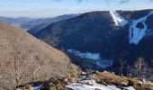 Excursión Senderismo Sewen - Lac d'Alfed et sa cascade - tour au pied du Ballon d'Alsace - Photo 18