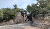 Excursión Senderismo Le Pradet - la colle noire, les forts,le Pradon  - Photo 2